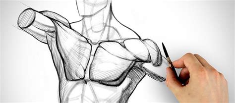 drawing tutorials youtube|Best Free YouTube Channels For Teaching Yourself .
